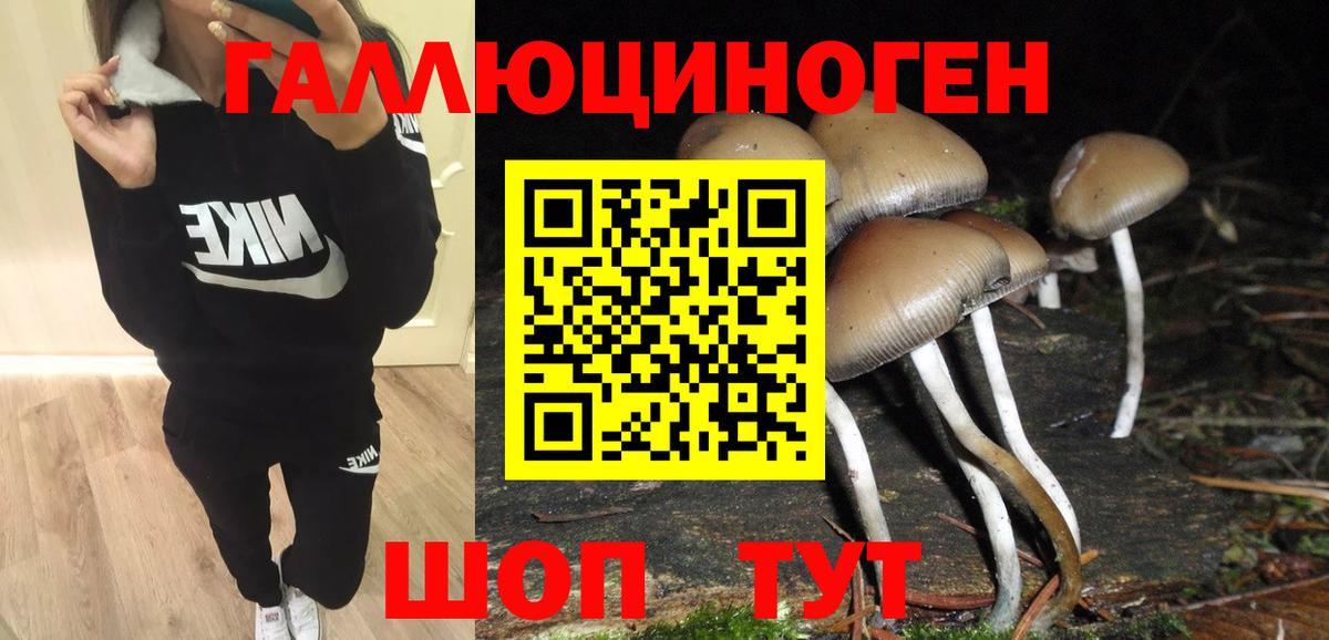 Острогожск  Галлюциногенные грибы ЛСД  Вход с VPN 