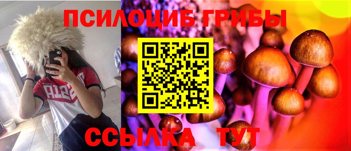Галлюциногенные грибы GOLDEN TEACHER Острогожск
